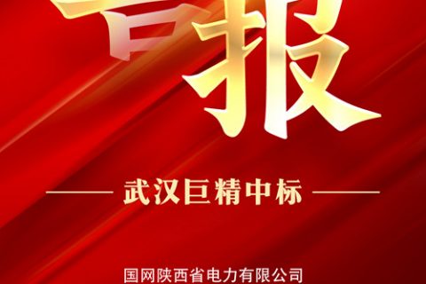 热烈祝贺尊龙凯时官网网址中标国网陕西省电力有限公司2022年第三次物资集中规模招标采购项目